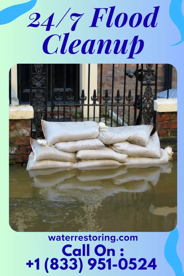 24/7 Flood Cleanup in Palatine, IL