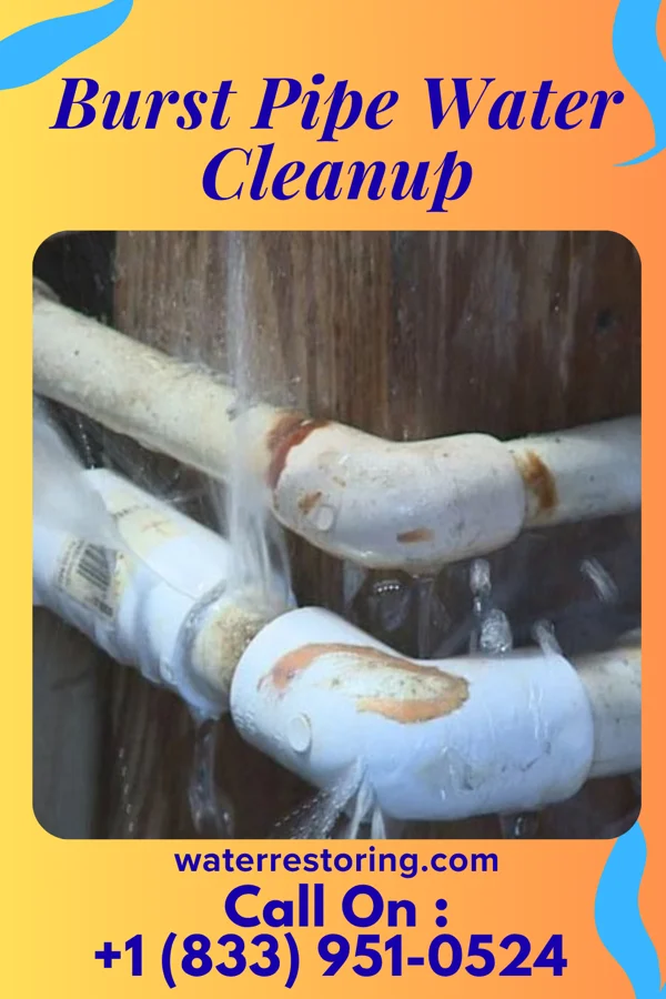 Burst Pipe Water Cleanup in Palatine, IL