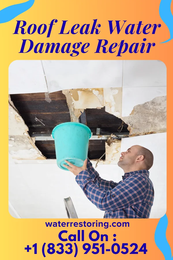 Roof Leak Water Damage Repair in Palatine, IL